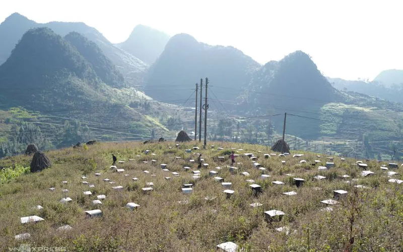 Tour phượt xe máy Hà Giang 4 ngày 4 đêm