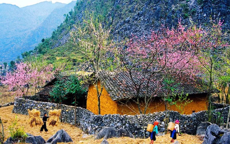 Tour Hà Giang 5 Ngày 4 Đêm