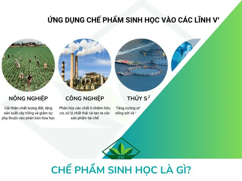 3H là gì trong hóa học: Khám phá Tritium và Ứng dụng