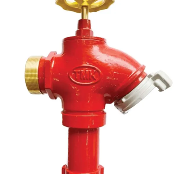 Van Giảm Áp Gang DN65 Tomoken MK-VGA-65