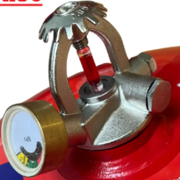 Đầu Bình Cầu Chữa Cháy Bột 6Kg