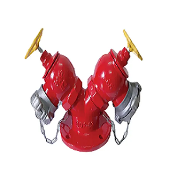 Đầu Trụ Chữa Cháy BQP 2 Cửa Ra D65