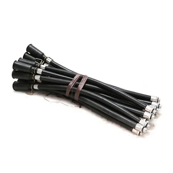 Dây Loa Bình Chữa Cháy Bột 4Kg