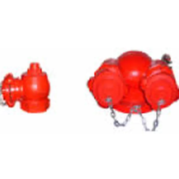 Họng Tiếp Nước Chữa Cháy Đơn D65