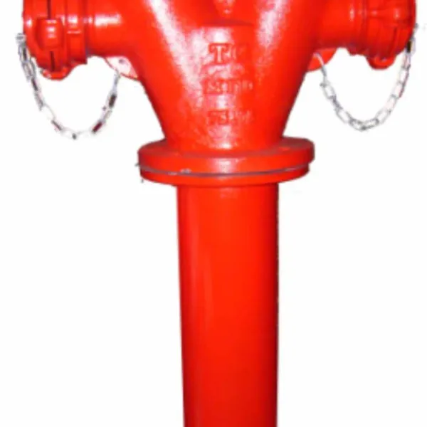 Trụ Nước Chữa Cháy 2 Cửa Ra DN100xDN65