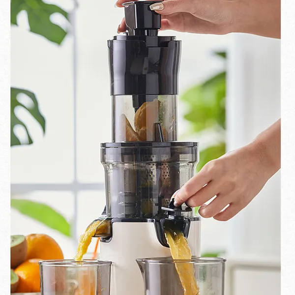 Máy ép chhậm Bear YZJ-C02S5