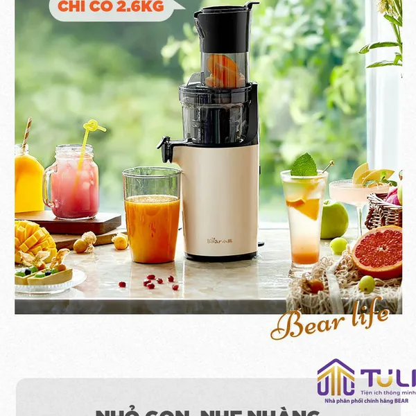 Máy ép chhậm Bear YZJ-C02S5