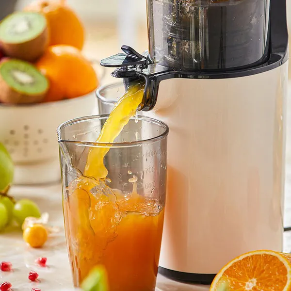 Máy ép chhậm Bear YZJ-C02S5
