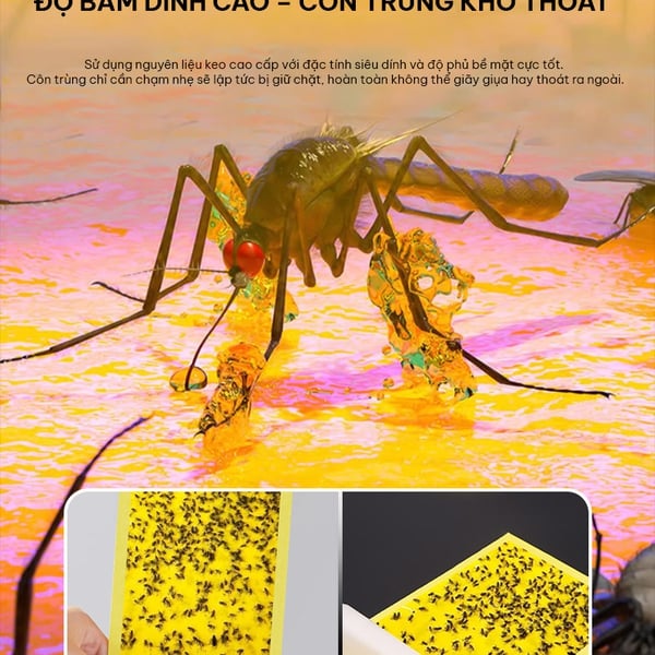 Đèn bắt côn trùng TULI TL-V10 - 10W