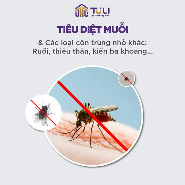Đèn bắt muỗi TULI TL-CD10 10W