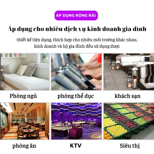 Đèn bắt ruồi muỗi TULI TL-R20 20W