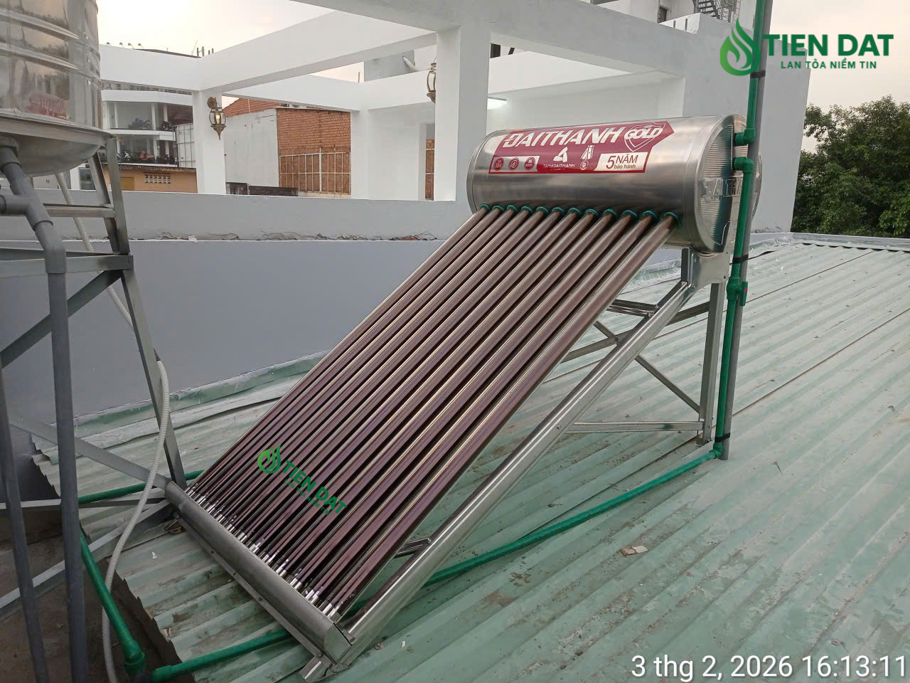 nlmt đại thành nlmt đại thành