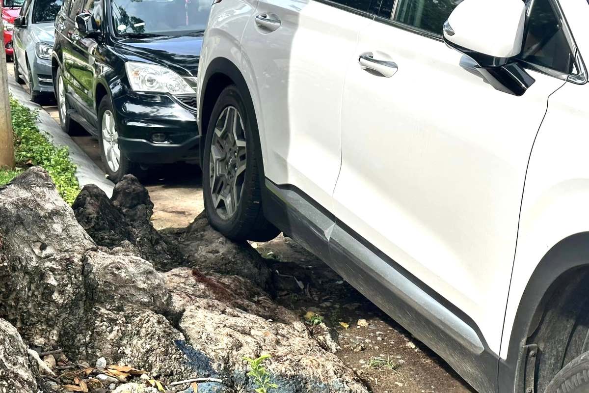 đỗ xe gây hại cho lốp xe