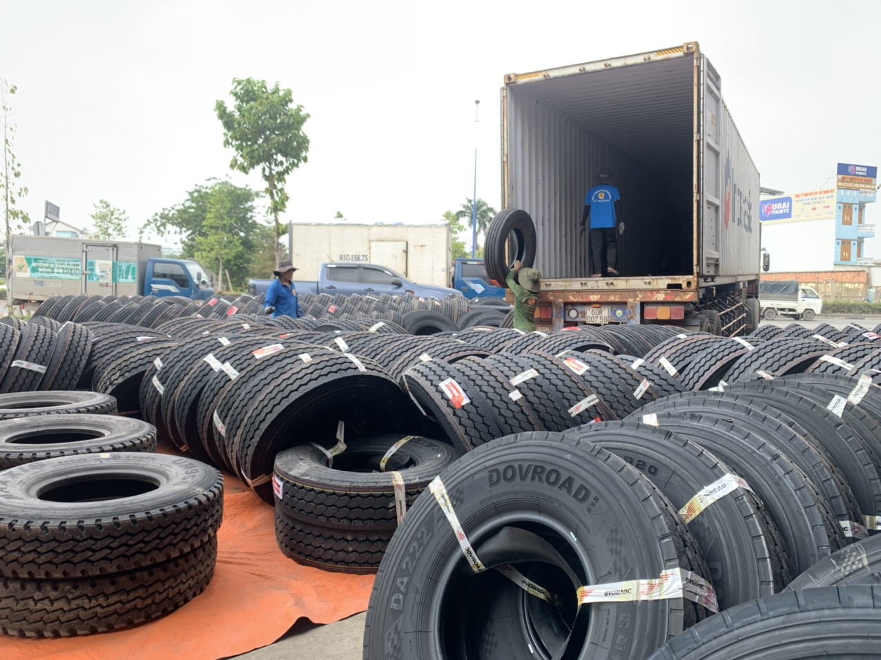 lốp container bình dương