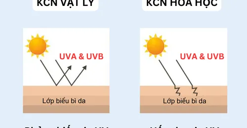 Sự khác nhau giữa kem chống nắng Vật lý Và kem chống nắng hóa học