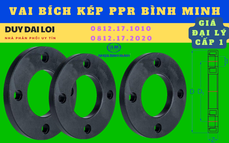 Gioăng bích kép Gioăng bích kép