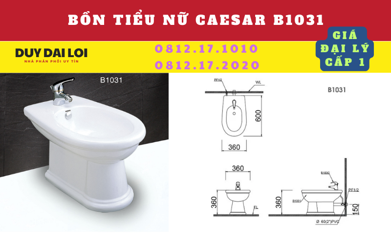 Bồn tiểu nữ caesar B1031 Bồn tiểu nữ caesar B1031