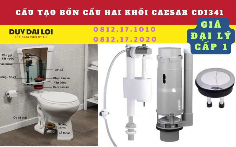 Cấu tạo bồn cầu hai khối caesar cd1341 Cấu tạo bồn cầu hai khối caesar cd1341
