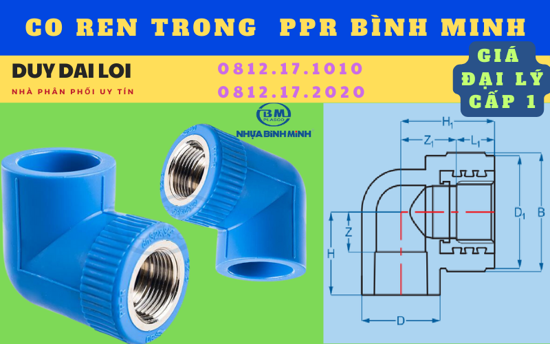 co ren trong thau ppr bình minh co ren trong thau ppr bình minh