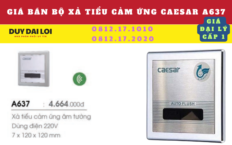 Gía bán bộ xả tiểu cảm ứng caesar A623 Gía bán bộ xả tiểu cảm ứng caesar A623