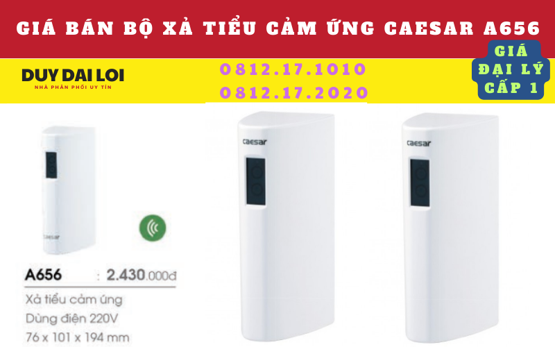 Gía bán bộ xả tiểu cảm ứng caesar A656 Gía bán bộ xả tiểu cảm ứng caesar A656