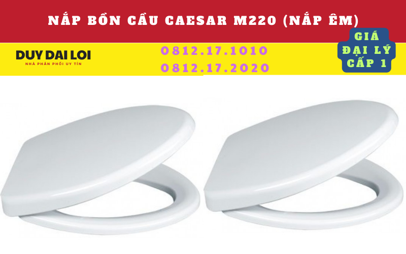 nắp bồn cầu hai khối CT1338 nắp bồn cầu hai khối CT1338