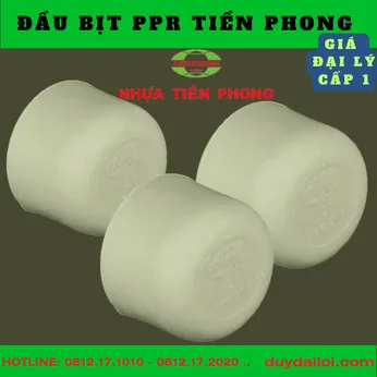 ĐẦU BỊT PPR TIỀN PHONG