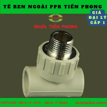 TÊ REN NGOÀI PPR TIỀN PHONG