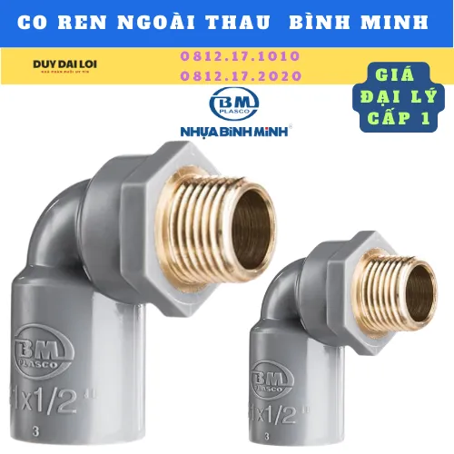 CO REN NGOÀI THAU BÌNH MINH