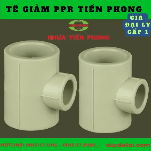 TÊ GIẢM PPR TIỀN PHONG