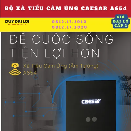 BỘ XẢ TIỂU CẢM ỨNG CAESAR A654
