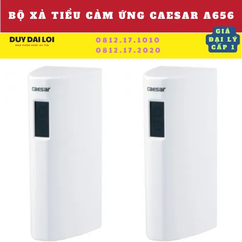 BỘ XẢ TIỂU CẢM ỨNG CAESAR A656
