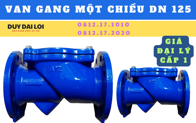 van một chiều gang dn 125 van một chiều gang dn 125