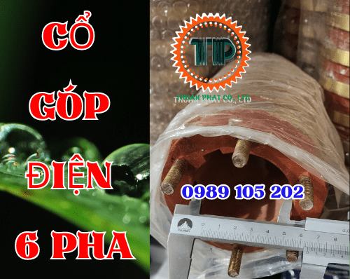 Cổ góp điện 6 rãnh: Hiểu biết và Lựa chọn Sản phẩm Chất lượng Cổ góp điện 6 rãnh: Hiểu biết và Lựa chọn Sản phẩm Chất lượng