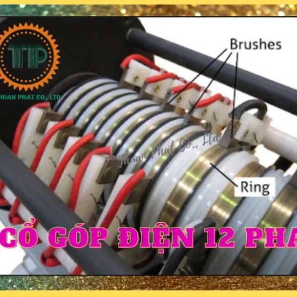 Cổ góp điện 12 pha trục 40mm