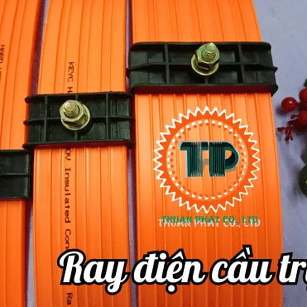 Ray điện cầu trục 3P-100A