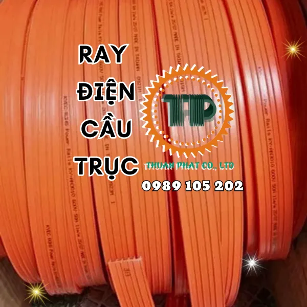 Ray điện an toàn 3P50A