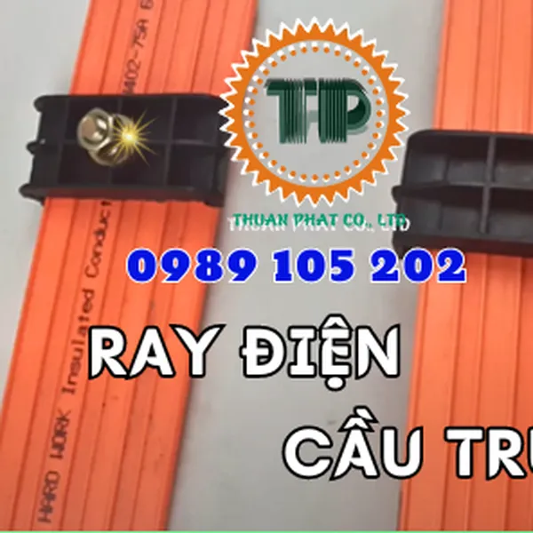 Ray điện cầu trục 3 pha 100A