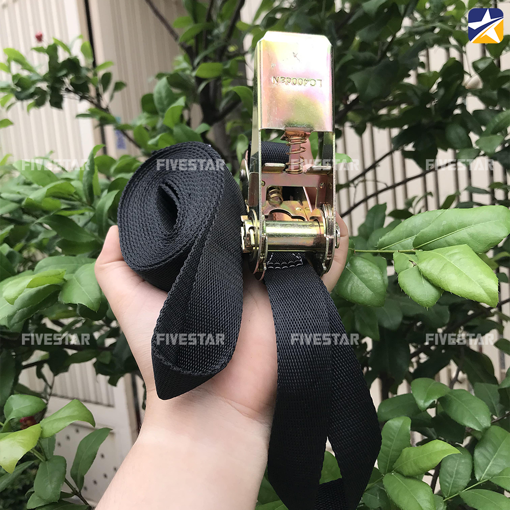 Dây tăng đơ bản 25mm tải 800kg 2 đầu mắt màu đen Dây tăng đơ bản 25mm tải 800kg 2 đầu mắt màu đen