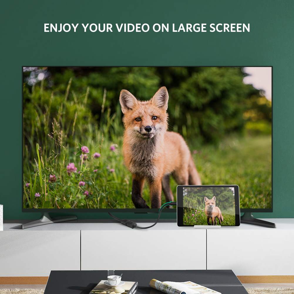 Cáp chuyển Micro HDMI to HDMI Female Ugreen 20134