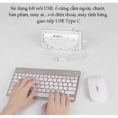 Cáp OTG USB Type C sang USB 3.0 Ugreen 30702