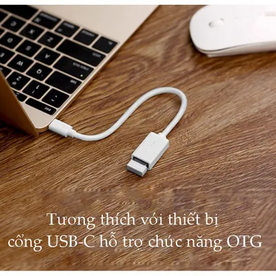 Cáp OTG USB Type C sang USB 3.0 Ugreen 30702