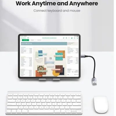 Cáp OTG USB Type C sang USB 3.0 Ugreen 70889