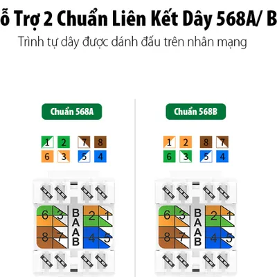 Nhân mạng âm tường Cat6 8P8C Ugreen 30844