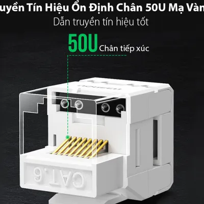 Nhân mạng âm tường Cat6 8P8C Ugreen 30844