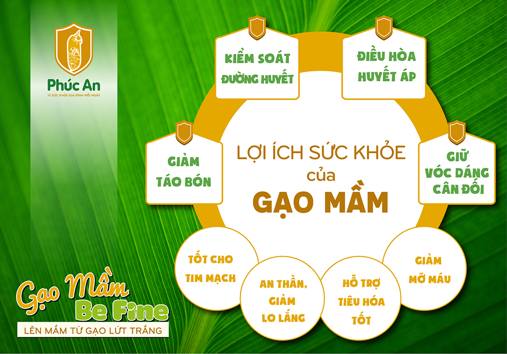Công dụng sức khỏe từ Gạo Mầm Be Fine Phúc An Công dụng sức khỏe từ Gạo Mầm Be Fine Phúc An