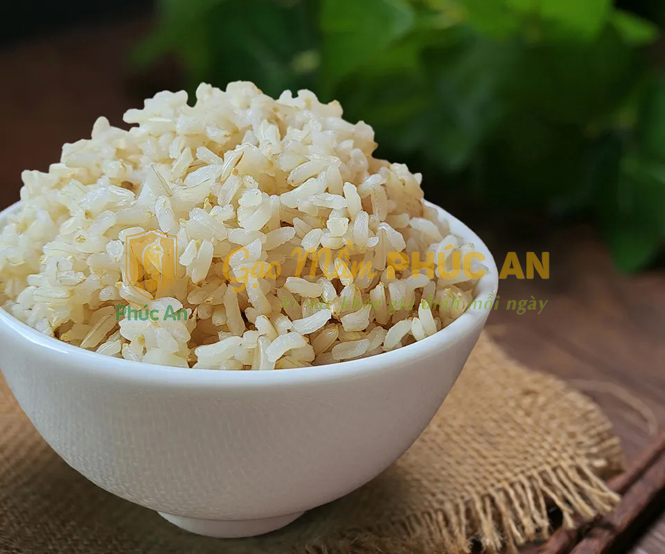 Vitamin B1 là một loại vitamin quan trọng trong việc duy trì sức khỏe và chức năng của cơ thể Vitamin B1 là một loại vitamin quan trọng trong việc duy trì sức khỏe và chức năng của cơ thể