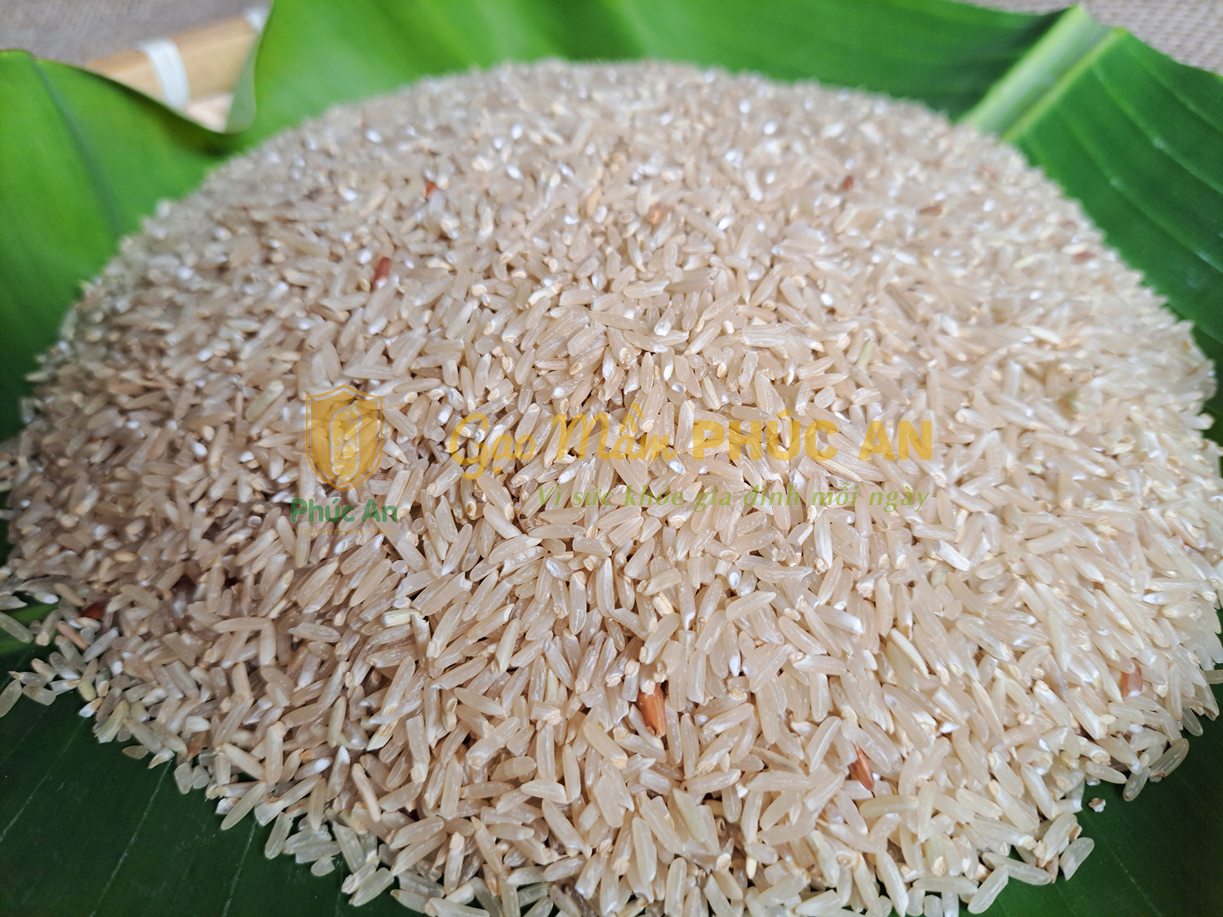 Gạo mầm - Bí quyết làm đẹp từ thiên nhiên Gạo mầm - Bí quyết làm đẹp từ thiên nhiên