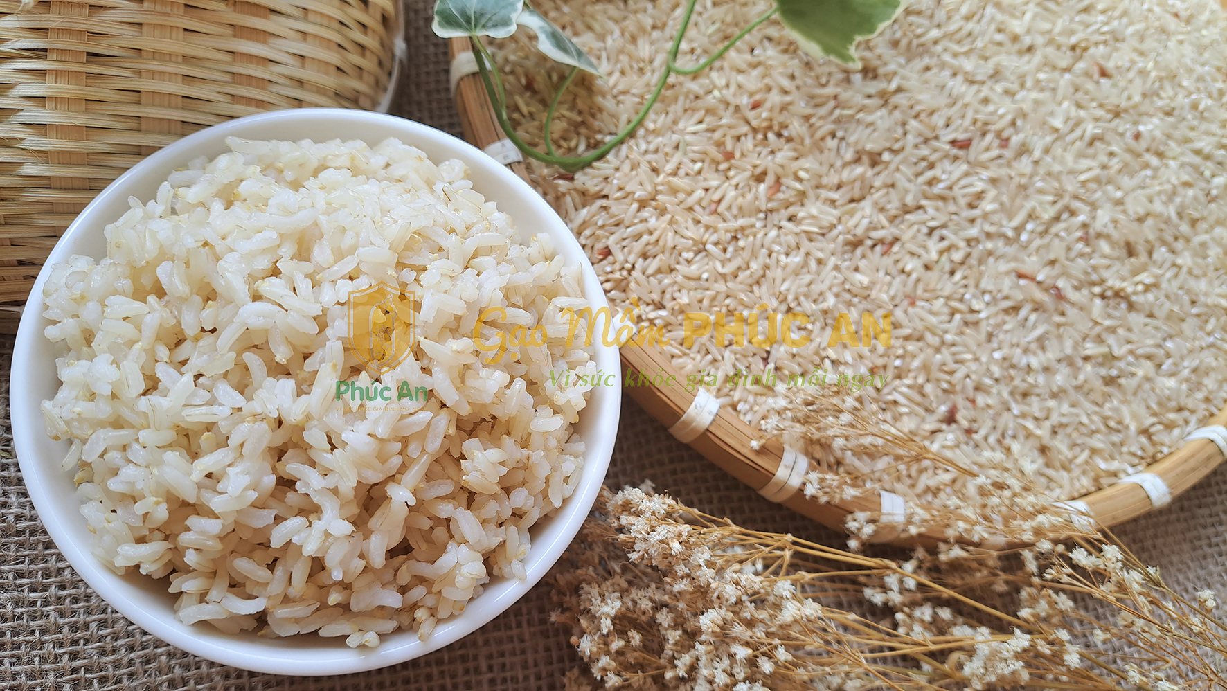 Gạo mầm là loại gạo được sản xuất bằng cách giữ lại phần mầm của hạt gạo sau khi đã tách vỏ. Gạo mầm là loại gạo được sản xuất bằng cách giữ lại phần mầm của hạt gạo sau khi đã tách vỏ.