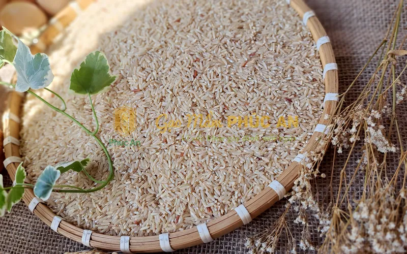 Gạo mầm có thật sự tốt cho người tiểu đường